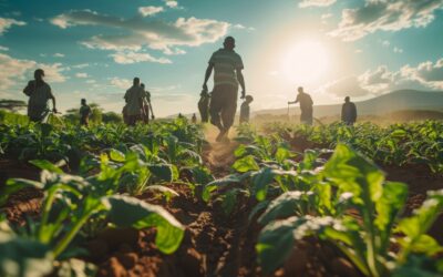 COMPARTE LA UMFFAAC COMPROMISO DEL GOBIERNO POR TENER MEJORES FITOSANITARIOS EN AGRICULTURA