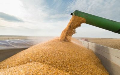 Registra nuevo superávit balanza comercial agroalimentaria
