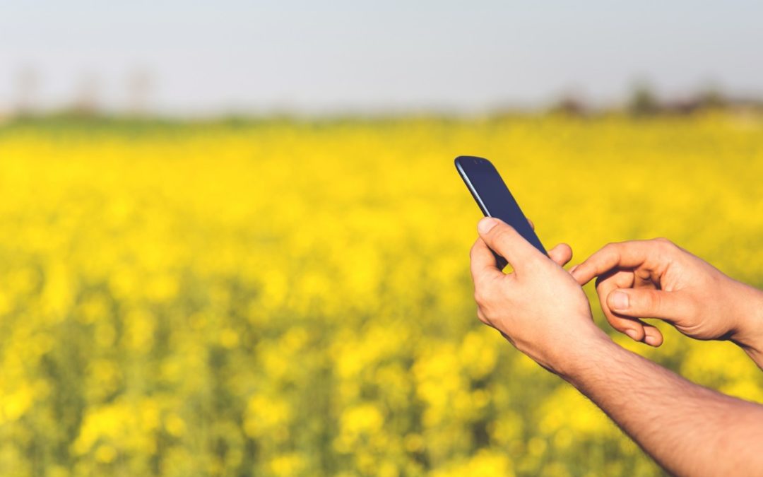 Razones por las que la digitalización del sector agro es imparable