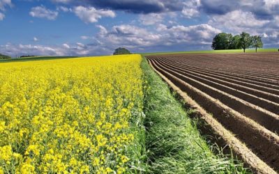 Los cambios en las políticas agrarias para el mundo rural