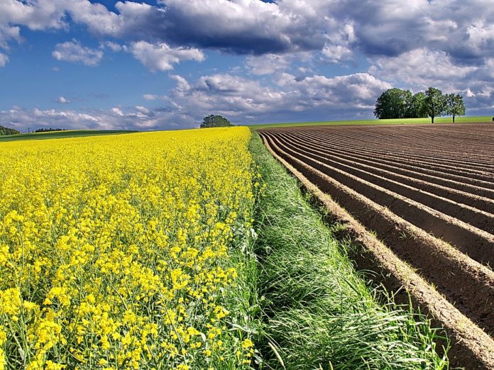 Los cambios en las políticas agrarias para el mundo rural