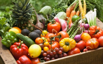 La importancia de las hortalizas en México