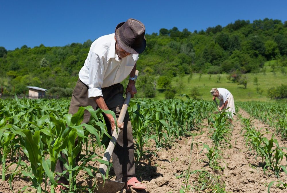 Urge una gran reforma financiera que favorezca a los campesinos