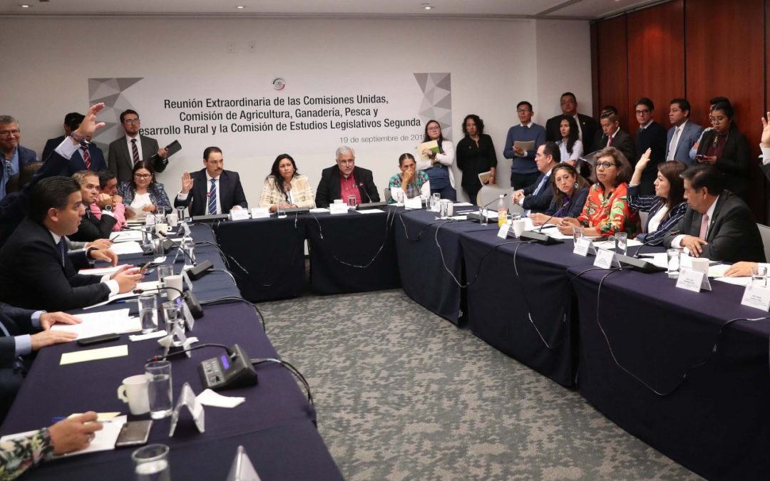 Aprueban comisiones Ley Federal para el Fomento y Protección del Maíz Nativo