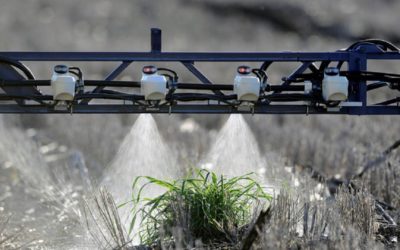 Ganan importancia los cultivos de servicio y las aplicaciones selectivas