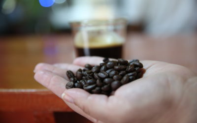 1° de octubre, Día Mundial del Café