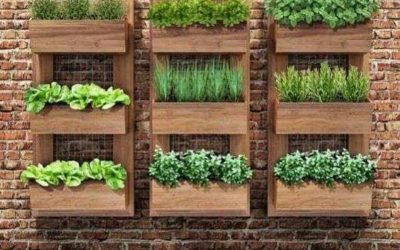 Los huertos domésticos urbanos podrían ayudar a frenar la inseguridad alimentaria y los problemas de salud.