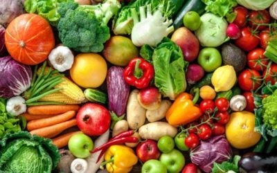 Buscan México y la FAO alcanzar «Hambre cero»