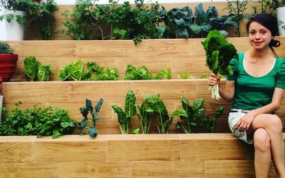 Ven en huertos familiares opción de autosuficiencia alimentaria