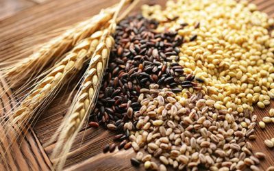 Requisitos para obtener Precios de Garantía en granos básicos