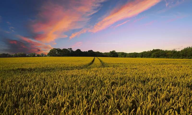 La salud del suelo puede combatir el cambio climático desde cero