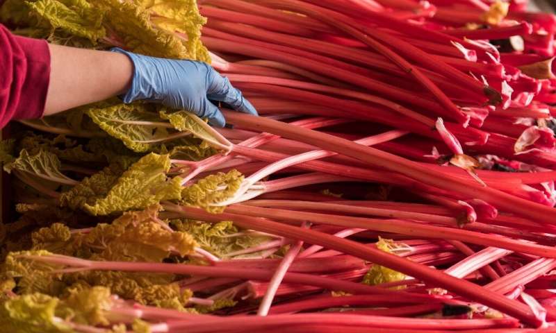 La agricultura totalmente orgánica podría aumentar las emisiones del Reino Unido