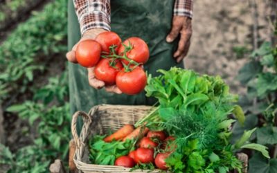Realizan encuentro de financiamiento rural para mejorar las opciones de atención de todas las agriculturas, en especial pequeños productores