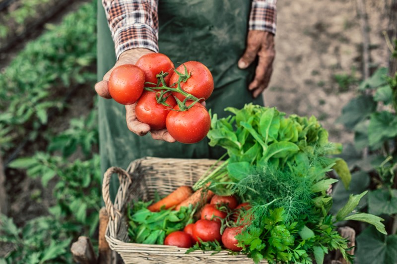 Realizan encuentro de financiamiento rural para mejorar las opciones de atención de todas las agriculturas, en especial pequeños productores