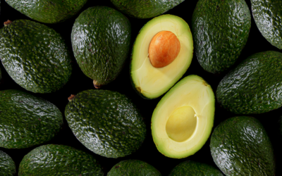 Aguacates: España proyecta exportar 90 mil toneladas y apuesta por el cultivo ecológico