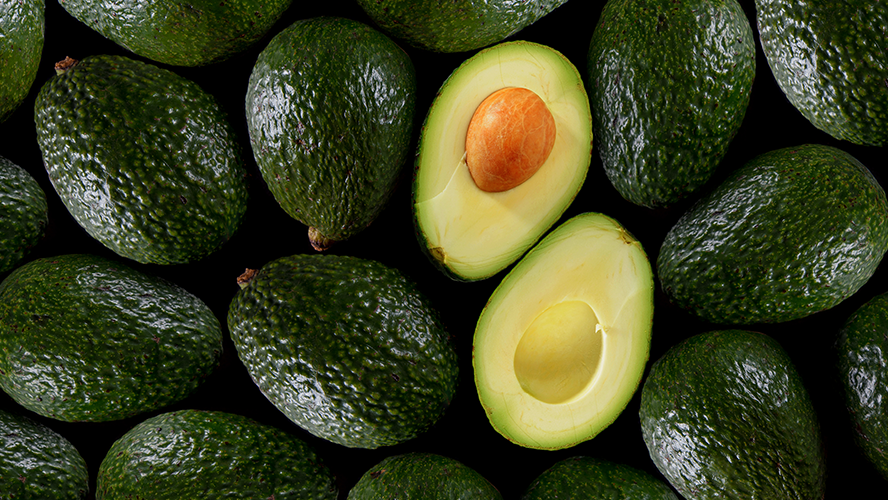 Aguacates: España proyecta exportar 90 mil toneladas y apuesta por el cultivo ecológico