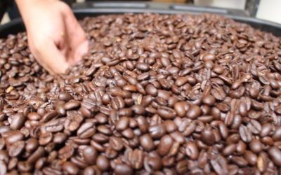 Que importaciones ilegales centroamericanas abaratan café mexicano