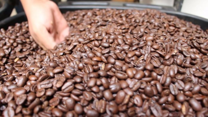 Que importaciones ilegales centroamericanas abaratan café mexicano