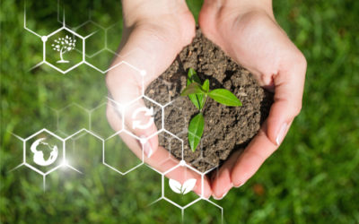 V edición del Premio a la Seguridad Alimentaria y a la Sustentabilidad