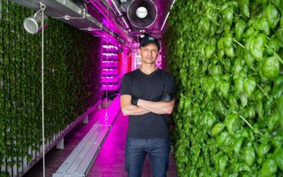 Agricultura vertical: el boom del millonario negocio de las frutas y verduras futuristas que crecen en las ciudades