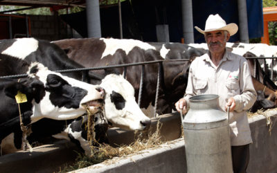 Desarrollo rural y mayor producción agrícola, claves para erradicar la pobreza