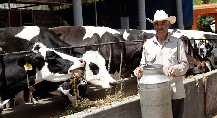 Desarrollo rural y mayor producción agrícola, claves para erradicar la pobreza