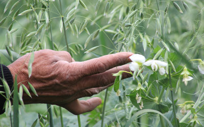 Día Mundial de la Protección de la Naturaleza 2019