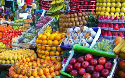 Mantiene récord histórico balanza agroalimentaria de México con el mundo