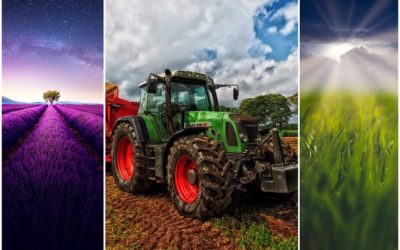 Agricultura para Principiantes – Cómo Convertirse en Agricultor