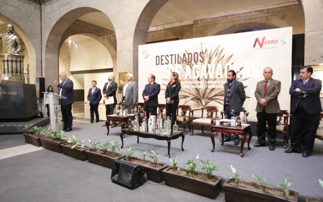 Senado contempla elaborar Ley para impulsar la industria del agave