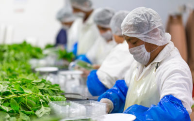 Alimentos inocuos para México y el mundo