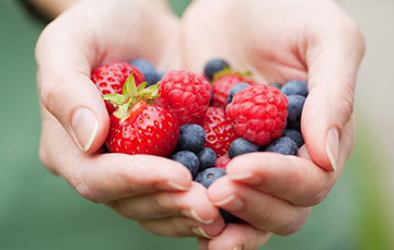 Berries mexicanas, consentidas en el mundo