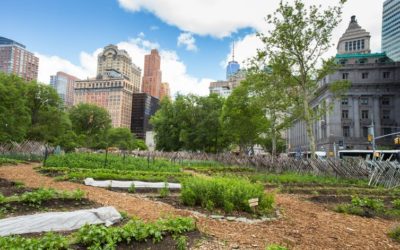 HUERTOS URBANOS, LA DESPENSA SOSTENIBLE DE LAS CIUDADES