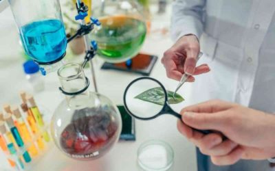 Impulsan aprovechamiento de residuos productivos para aumentar ingresos en la agricultura familiar