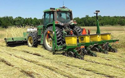 Ahorro de costos con cultivos de cobertura