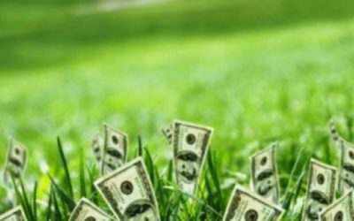 Más allá de la revolución verde.