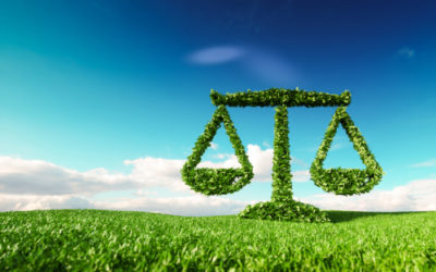 Crece superávit agroalimentario 46 por ciento al mes de octubre