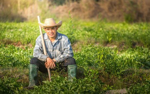 Sembramos el futuro del campo mexicano nuevas generaciones de ingenieros agrónomos