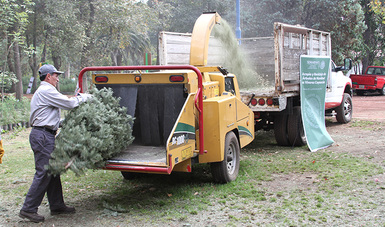 Acude a los centros de acopio y recicla tu árbol de Navidad