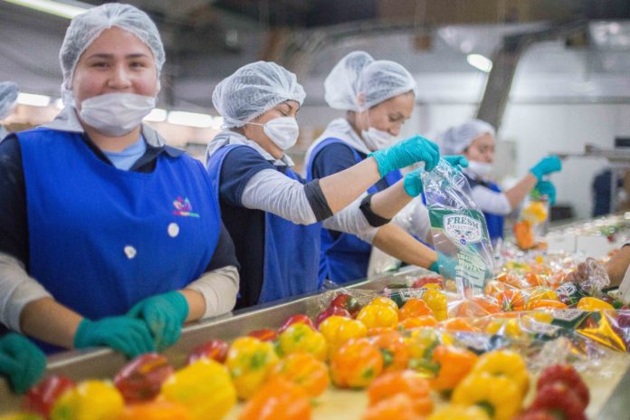 Suben 8.6% exportaciones agroalimentarias mexicanas