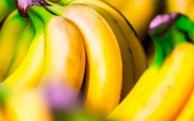 Sale hoy primer embarque de plátano a China