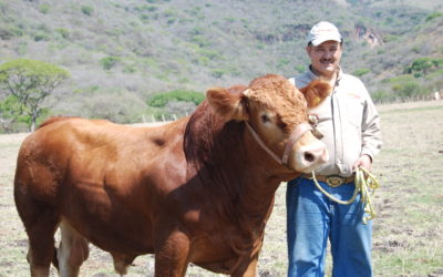Crédito Ganadero a la Palabra, un apoyo para pequeños ganaderos