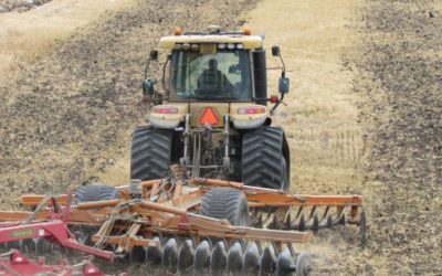 Los microbios del suelo florecen con labranza reducida
