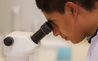 Reglas de Operación del Programa de Sanidad e Inocuidad Agroalimentaria