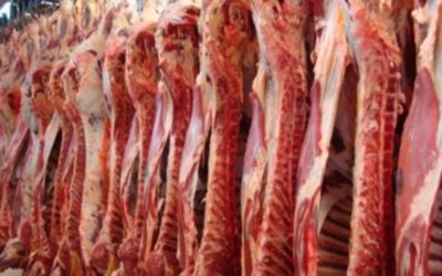 Exportará México más res a China por afectaciones del Coronavirus