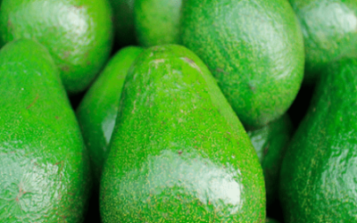 Se expande proyecto de empacadora de aguacate en Atlixco