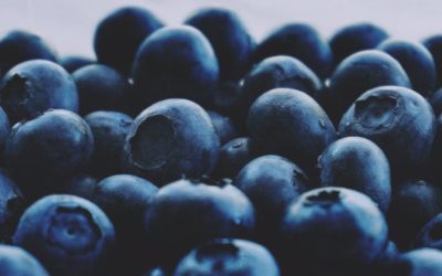 Perú destrona a Chile como mayor exportador de arándanos en 2019