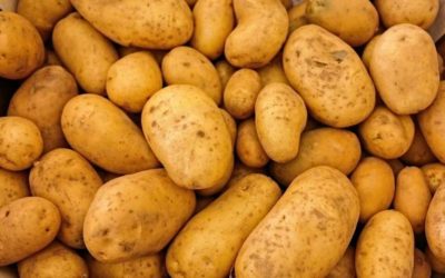 Transformando el desperdicio de papa en una nueva industria