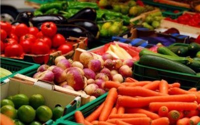 ÍNDICE GLOBAL DE PRECIOS DE ALIMENTOS SUBE POR TERCER MES CONSECUTIVO: FAO
