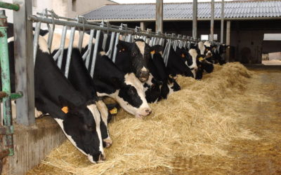 Programa de Fomento a la Agricultura, Ganadería, Pesca y Acuacultura